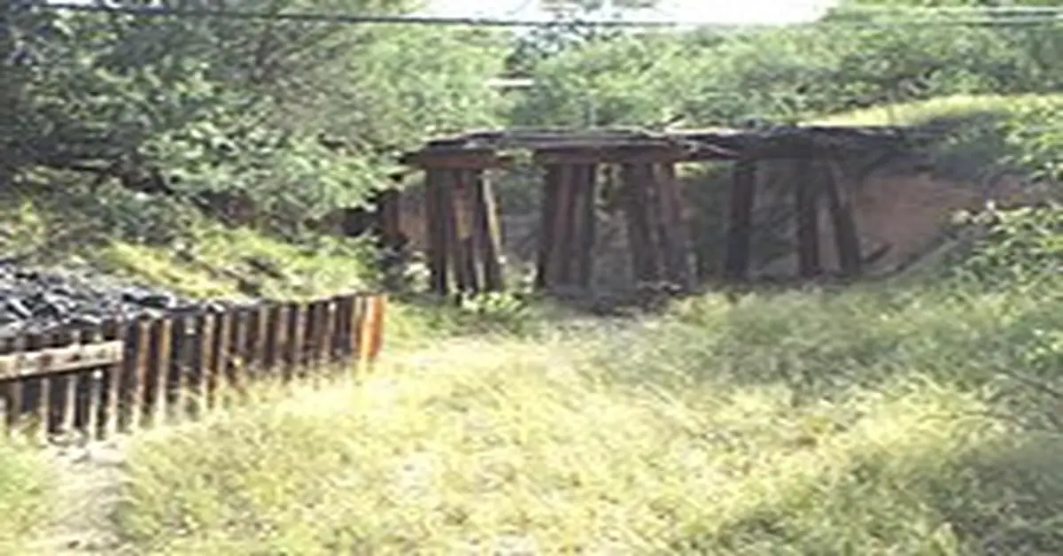 Fort Buchanan Arizona