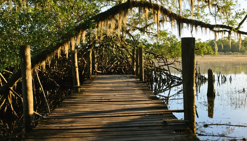 abandoned florida coastal settlement