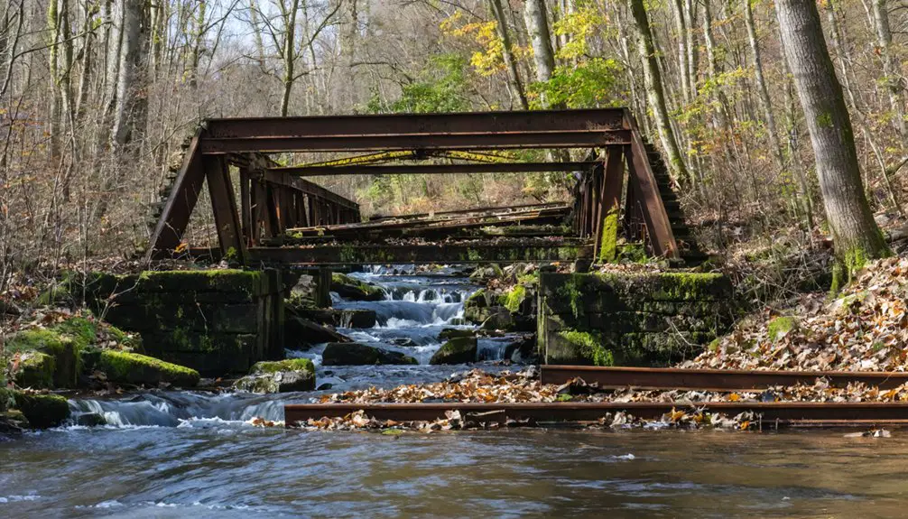 bridges connecting isolated communities