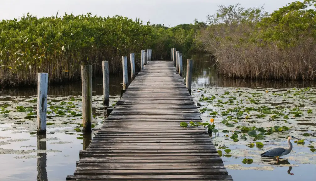 ecological restoration and protection