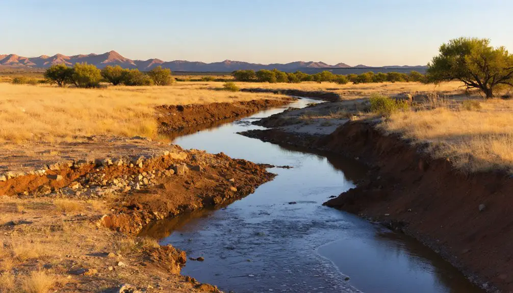 cryer creek s rich ecology