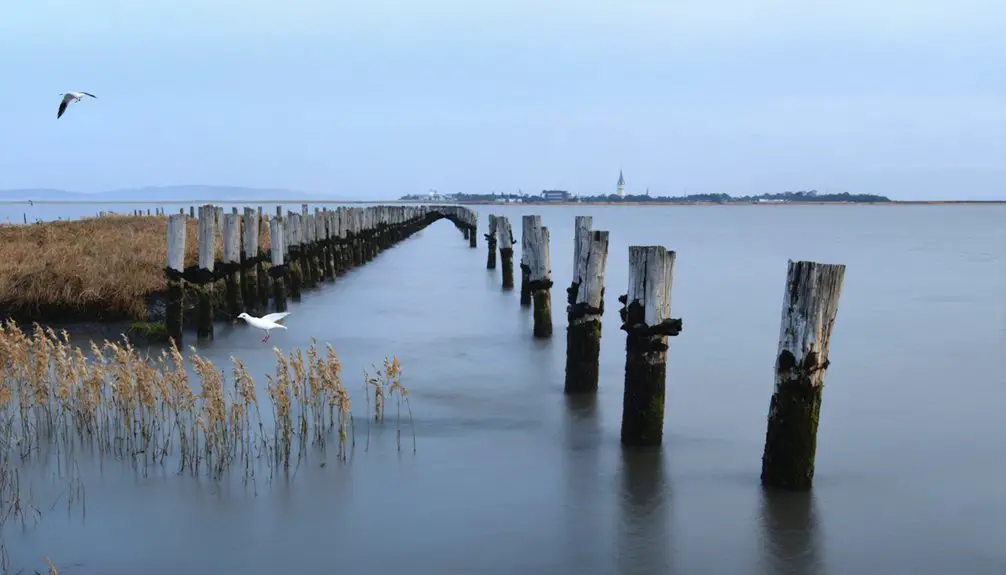 homes floated across harbor