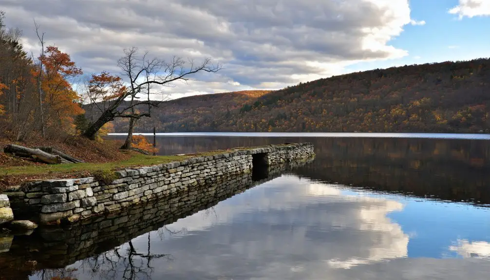 submerged town thriving wilderness