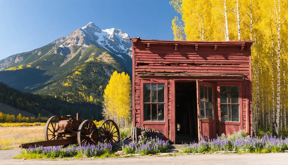 victorian mining town conservation