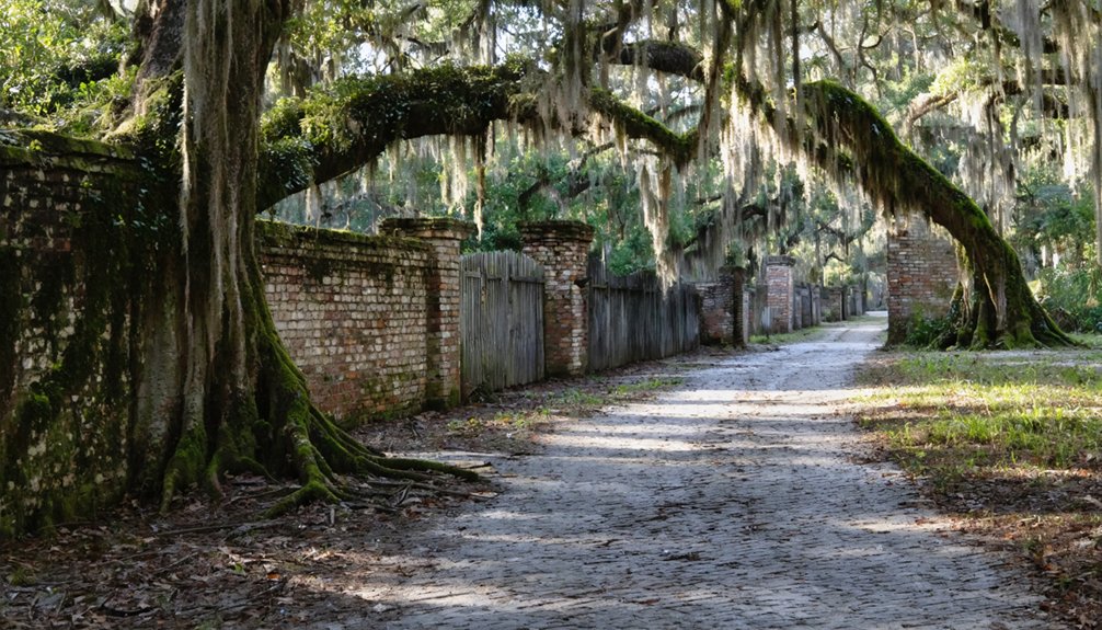 ruins reveal colonial history
