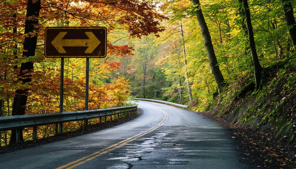 journey to wild stannard