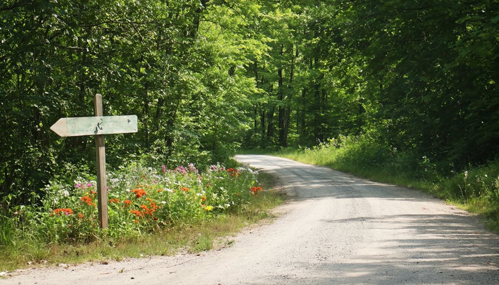 visiting historic ghost town s annual homecoming