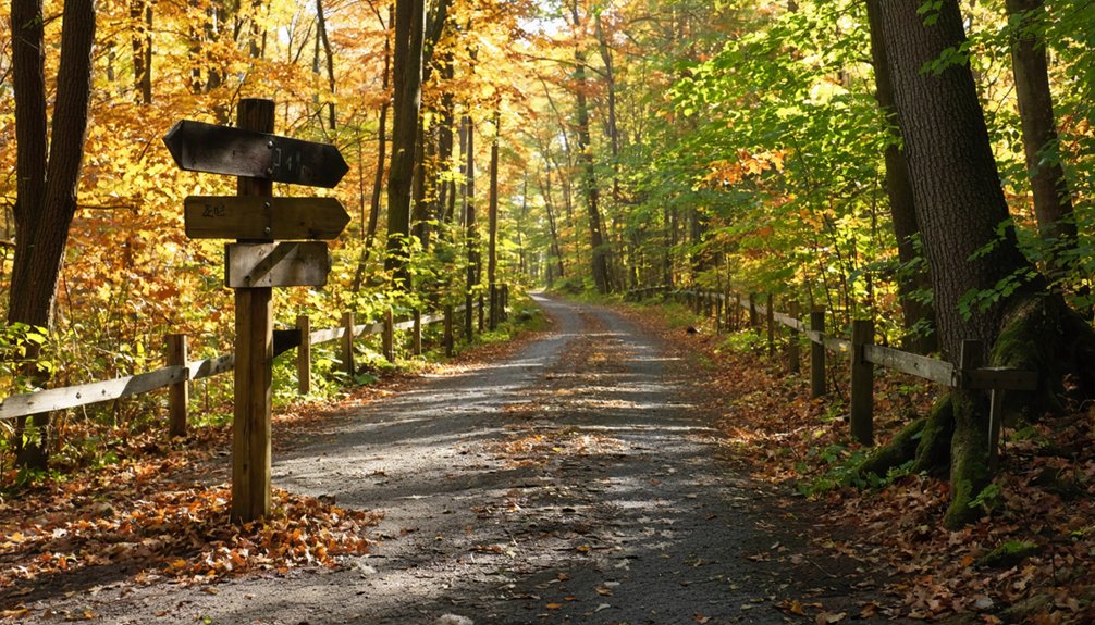 blairsville s trail connection network