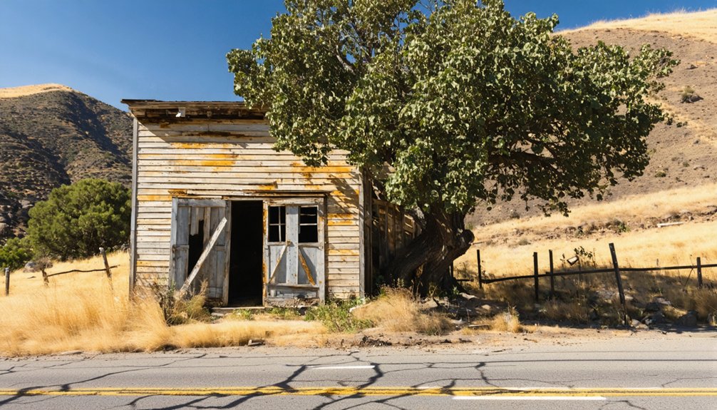 explore chinese camp s history