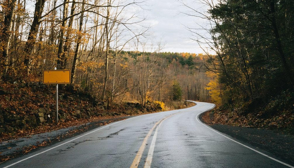 seasonal driving influences experiences