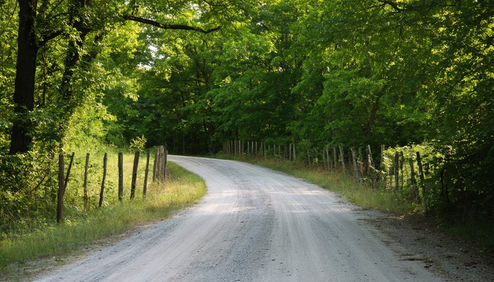 rugged forest gravel road