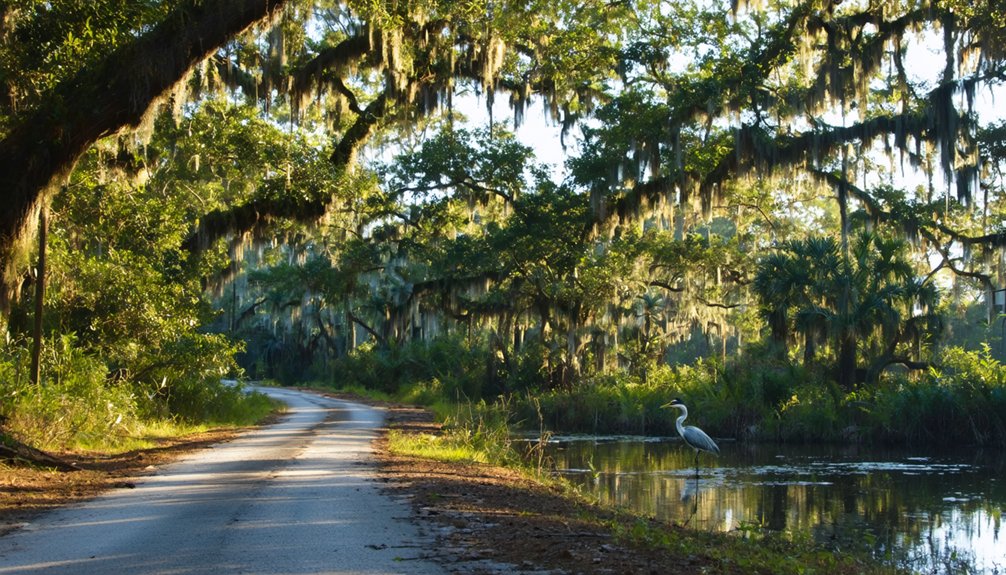 wilderness and wildlife adventures